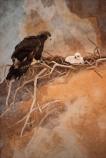 At Home in High Places, Karin Franzen, 2009. Materials: Fiber.