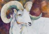 Wonders of Denali, David J. King, 2007. Materials: Watercolor