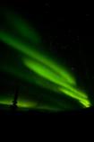 Ropes of Light