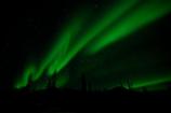 North to Alaska