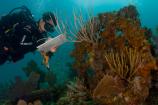 Underwater Archaeology