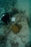 Documenting submerged cultural resource