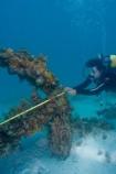 Measuring an anchor