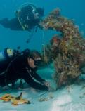 Crew assesses resource