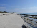 Isolated beach on Loggerhead Key