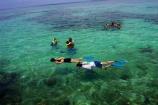 Snorkeling Dry Tortugas National Park