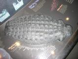 Tactile surface of an alligator's back
