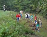 Battlefield Cleanup