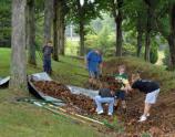 Cleaning up Leaves
