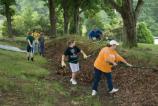 Cleaning Earthworks