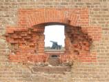 Cannon viewed through damaged wall