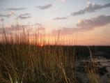 Sunset along the Savannah River