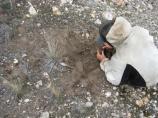 Initial discovery of the site