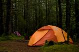 nice campsite