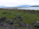 Shoreline view near the campground