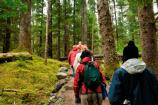 Exploring the Forest Loop Trail