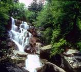 Ramsey Cascades, at 100 feet high, is the tallest waterfall in the park.