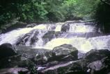 Small Unnamed Cascade