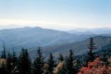 Autumn - Mountain View