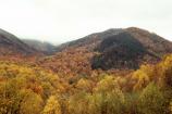 Sugarlands Valley below Bull Head.