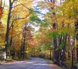 Fall road in the Smokies.