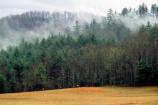 Cataloochee Fields