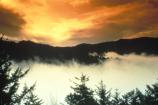 Orange Sky
