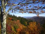 Fall View from Newfound Gap