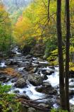 Fall Color Along Middle Prong