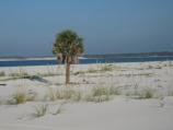 Beach on Santa Rosa Island