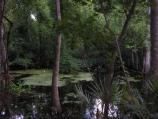 Audio Tour Stop 1: Bayou Coquille at the beginning of the Bayou Coquille Trail