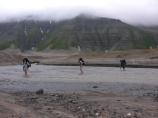 Fording the dangerous Lethe River