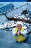 Little Setnetter