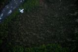Flying over the Tanalian River