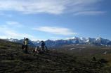 Hikers, Telaquana Trail