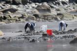 Clam Digging