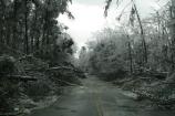 Green River Ferry Road North