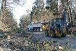 Clearing downed trees from Green River Ferry Road