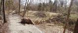 Trail damage