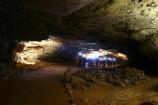 Wild Cavers