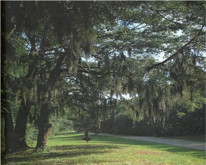 Photo Gallery (U.S. National Park Service)