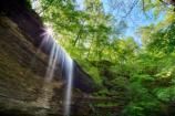 Sunlight shines through the trees at Fall Hollow.