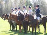 Cavalry demo