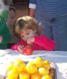Child carefully puts cloves into an apple