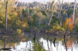 Wetlands