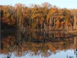 Fall Wetlands