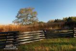 McFadden Farm