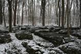 Slaughter Pen in the Snow