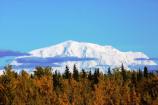 Mount Blackburn in Fall