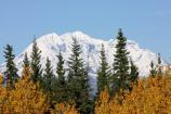 Mount Drum in Fall